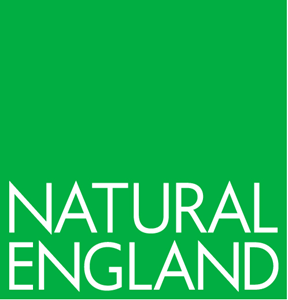 NatEng logo New Green